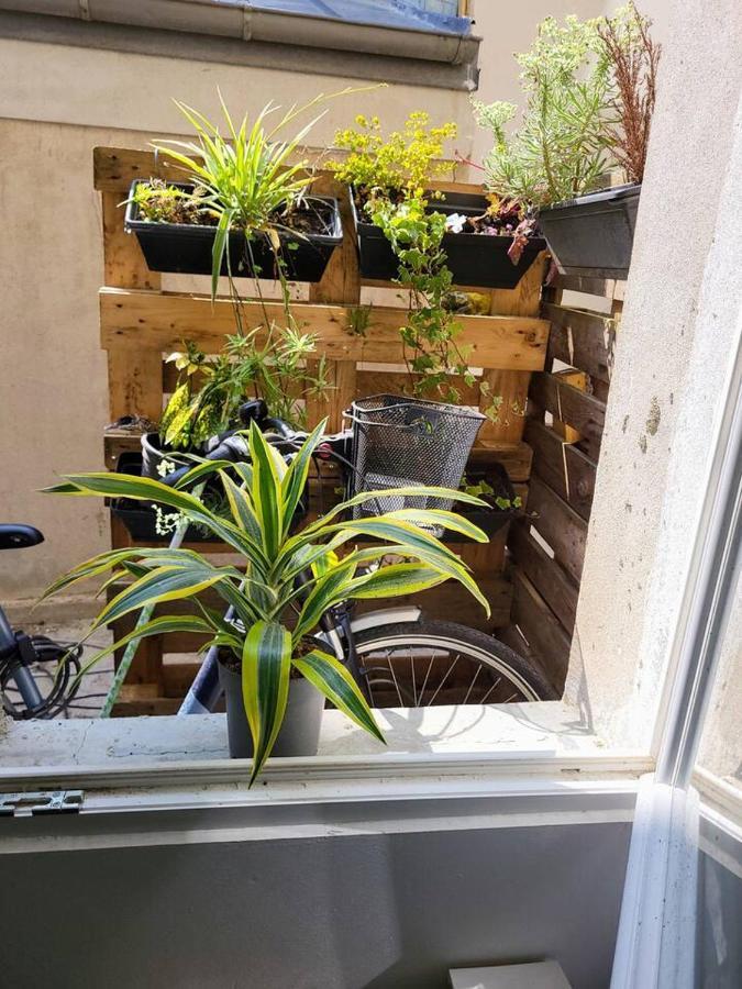 Cosy Appartement Hyper Centre-Ville Quimper Exterior photo